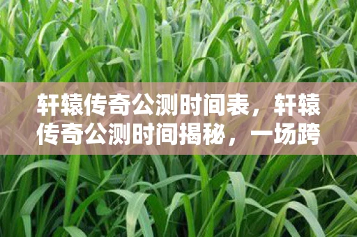 轩辕传奇公测时间表,轩辕传奇公测时间揭秘,一场跨越时空的传奇盛宴即将开启! 轩辕传奇公测时间表,轩辕传奇公测时间揭秘,一场跨越时空的传奇盛宴即将开启!