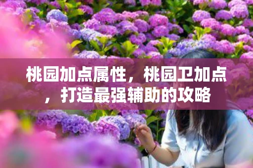 桃园加点属性，桃园卫加点，打造最强辅助的攻略