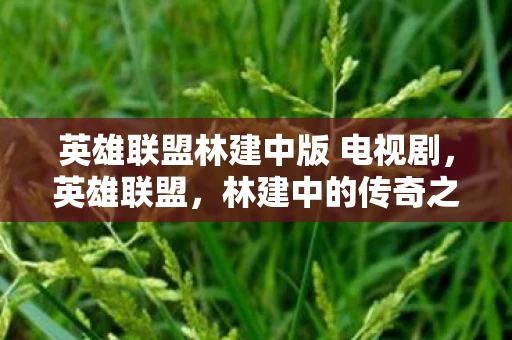 英雄联盟林建中版 电视剧，英雄联盟，林建中的传奇之路