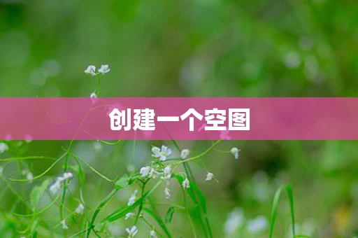 创建一个空图