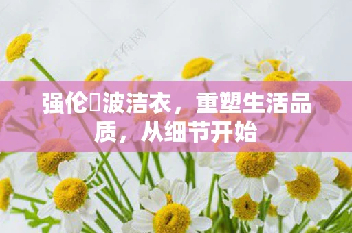 强伦姧波洁衣，重塑生活品质，从细节开始