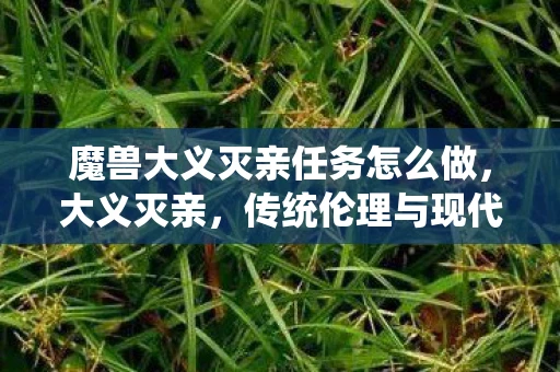 魔兽大义灭亲任务怎么做，大义灭亲，传统伦理与现代社会的碰撞
