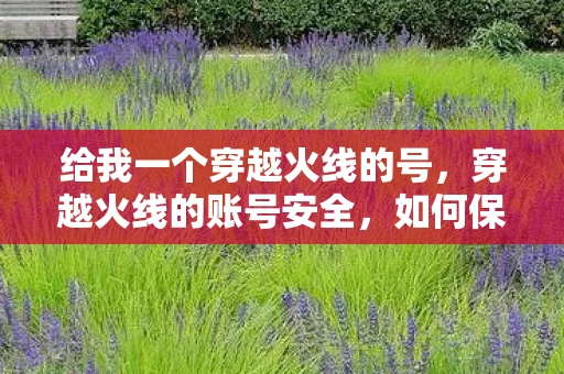 给我一个穿越火线的号,穿越火线的账号安全,如何保护你的游戏账号 给我一个穿越火线的号,穿越火线的账号安全,如何保护你的游戏账号