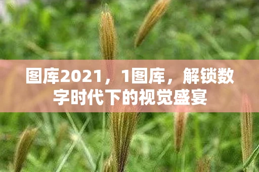 图库2021,1图库,解锁数字时代下的视觉盛宴 图库2021,1图库,解锁数字时代下的视觉盛宴