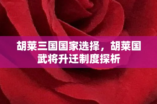 胡莱三国国家选择，胡莱国武将升迁制度探析