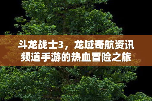 龙域奇航资讯频道手游的热血冒险之旅图片