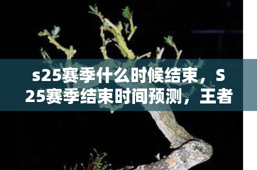 s25赛季什么时候结束,S25赛季结束时间预测,王者荣耀的赛季更迭与玩家期待 s25赛季什么时候结束,S25赛季结束时间预测,王者荣耀的赛季更迭与玩家期待