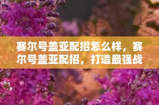 赛尔号盖亚配招怎么样，赛尔号盖亚配招，打造最强战斗阵容