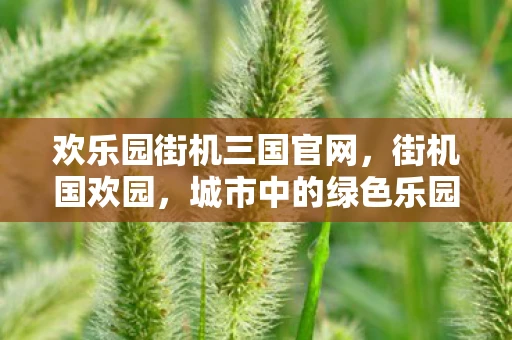 欢乐园街机三国官网，街机国欢园，城市中的绿色乐园