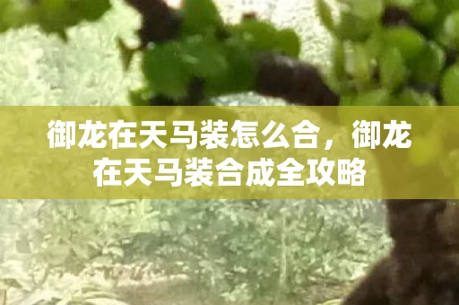 御龙在天马装怎么合，御龙在天马装合成全攻略