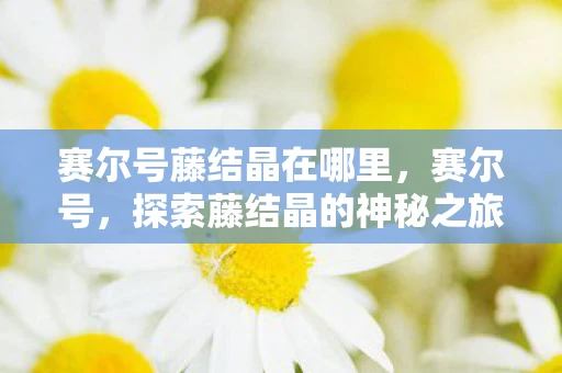 赛尔号藤结晶在哪里，赛尔号，探索藤结晶的神秘之旅