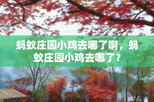 蚂蚁庄园小鸡去哪了啊，蚂蚁庄园小鸡去哪了？