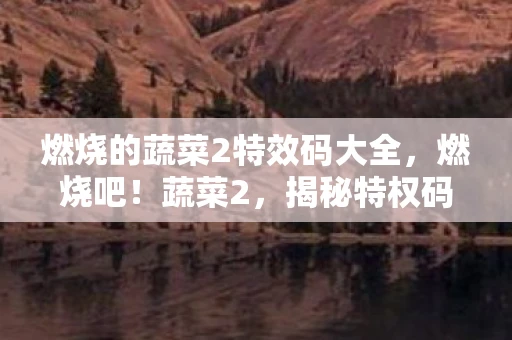 燃烧的蔬菜2特效码大全，燃烧吧！蔬菜2，揭秘特权码背后的秘密