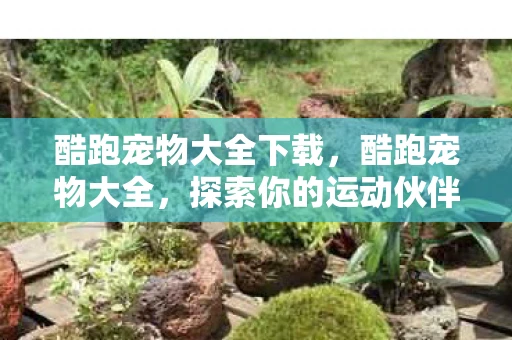 酷跑宠物大全下载，酷跑宠物大全，探索你的运动伙伴新选择