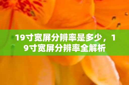 19寸宽屏分辨率是多少，19寸宽屏分辨率全解析