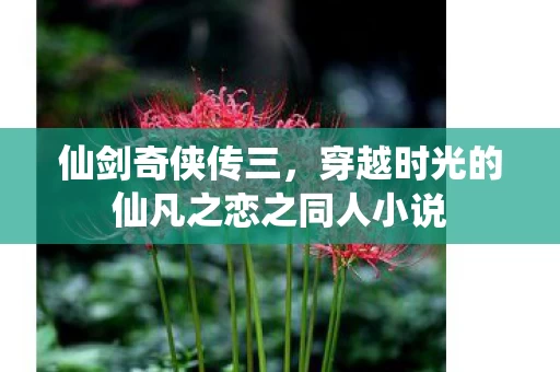 穿越时光的仙凡之恋之同人小说图片