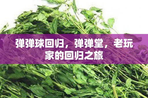 弹弹球回归，弹弹堂，老玩家的回归之旅