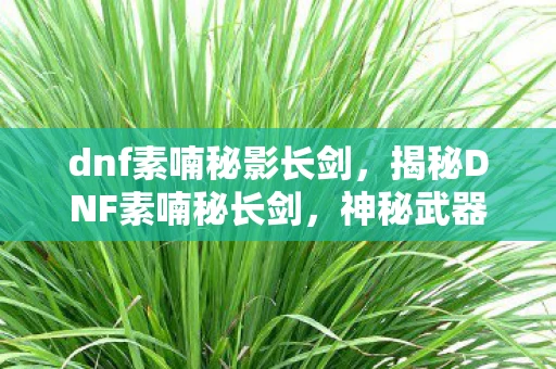 dnf素喃秘影长剑，揭秘DNF素喃秘长剑，神秘武器的传奇故事