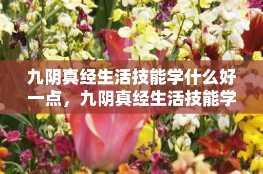 九阴真经生活技能学什么好一点，九阴真经生活技能学什么好？