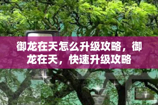 御龙在天怎么升级攻略,御龙在天,快速升级攻略 御龙在天怎么升级攻略,御龙在天,快速升级攻略