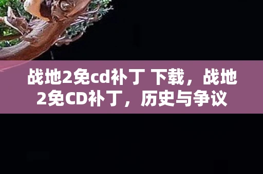 战地2免cd补丁 下载，战地2免CD补丁，历史与争议