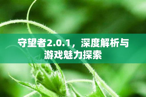 深度解析与游戏魅力探索图片