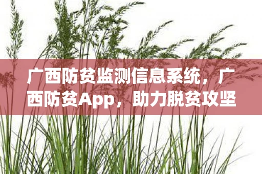 广西防贫监测信息系统,广西防贫App,助力脱贫攻坚的数字战士 广西防贫监测信息系统,广西防贫App,助力脱贫攻坚的数字战士