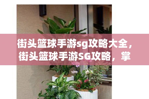 街头篮球手游sg攻略大全，街头篮球手游SG攻略，掌握得分后卫的精髓