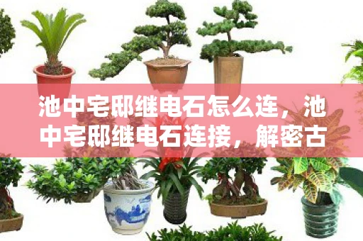 池中宅邸继电石怎么连,池中宅邸继电石连接,解密古老遗迹的电力之谜 池中宅邸继电石怎么连,池中宅邸继电石连接,解密古老遗迹的电力之谜