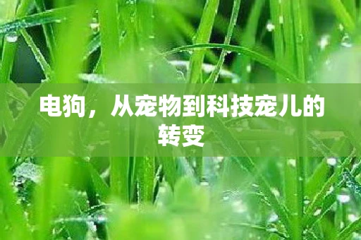 电狗，从宠物到科技宠儿的转变