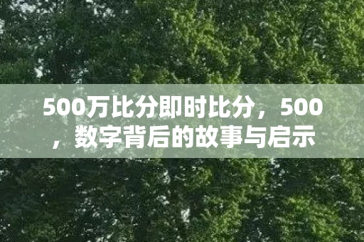 500万比分即时比分，500，数字背后的故事与启示