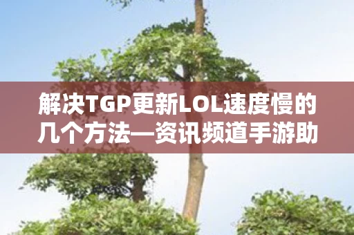 解决TGP更新LOL速度慢的几个方法图片
