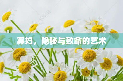 寡妇，隐秘与致命的艺术