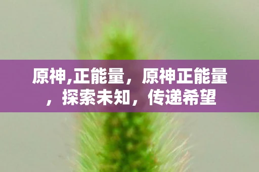 原神,正能量，原神正能量，探索未知，传递希望