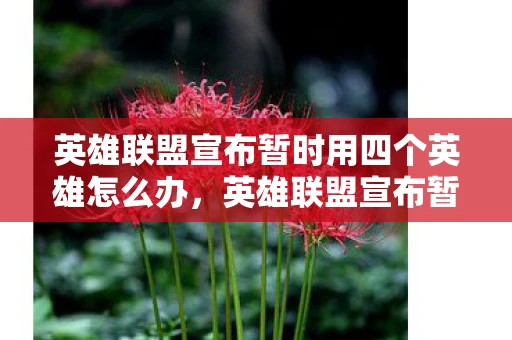 英雄联盟宣布暂时用四个英雄怎么办，英雄联盟宣布暂时用四个英雄，背后的原因与影响分析