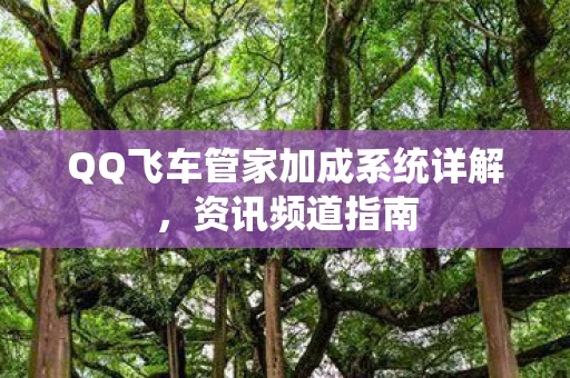 QQ飞车管家加成系统详解图片