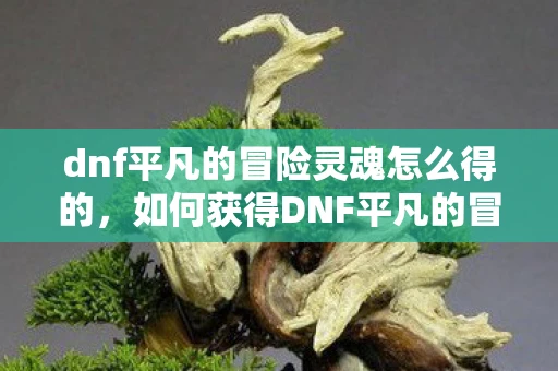 dnf平凡的冒险灵魂怎么得的，如何获得DNF平凡的冒险灵魂？
