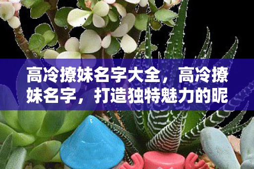 高冷撩妹名字大全，高冷撩妹名字，打造独特魅力的昵称