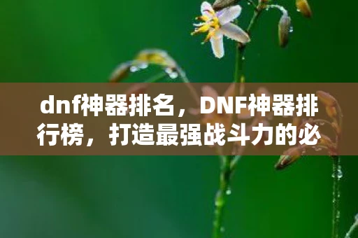 dnf神器排名，DNF神器排行榜，打造最强战斗力的必备神器