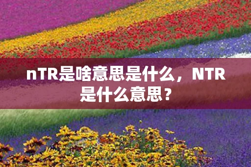 nTR是啥意思是什么，NTR是什么意思？