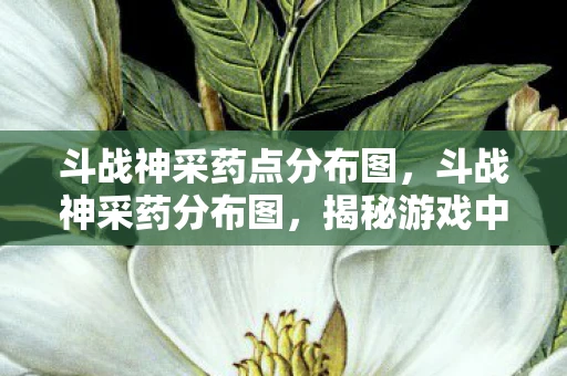 斗战神采药点分布图，斗战神采药分布图，揭秘游戏中的草药宝藏