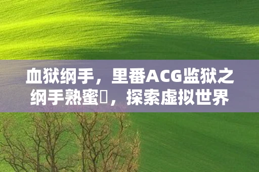 血狱纲手，里番ACG监狱之纲手熟蜜姫，探索虚拟世界的深度与魅力