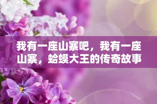 我有一座山寨吧，我有一座山寨，蛤蟆大王的传奇故事