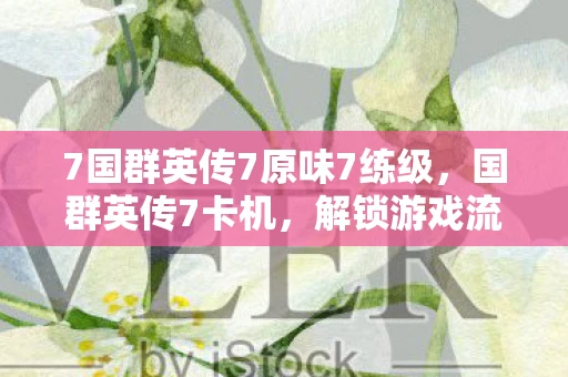 7国群英传7原味7练级，国群英传7卡机，解锁游戏流畅体验的秘密
