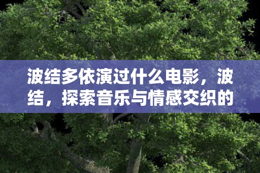 波结多依演过什么电影,波结,探索音乐与情感交织的奥秘 波结多依演过什么电影,波结,探索音乐与情感交织的奥秘