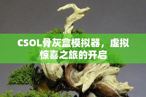 CSOL骨灰盒模拟器图片