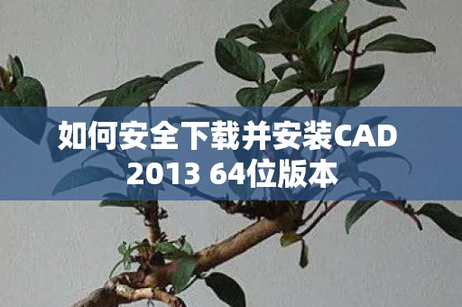 如何安全下载并安装CAD 2013 64位版本 如何安全下载并安装CAD 2013 64位版本