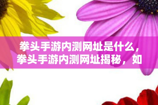 拳头手游内测网址是什么，拳头手游内测网址揭秘，如何参与并获取测试资格