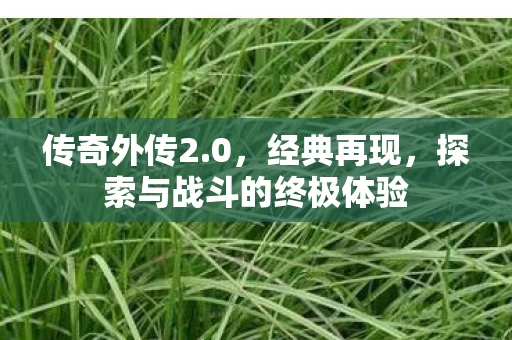 探索与战斗的终极体验图片