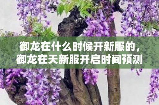 御龙在什么时候开新服的,御龙在天新服开启时间预测与分析 御龙在什么时候开新服的,御龙在天新服开启时间预测与分析